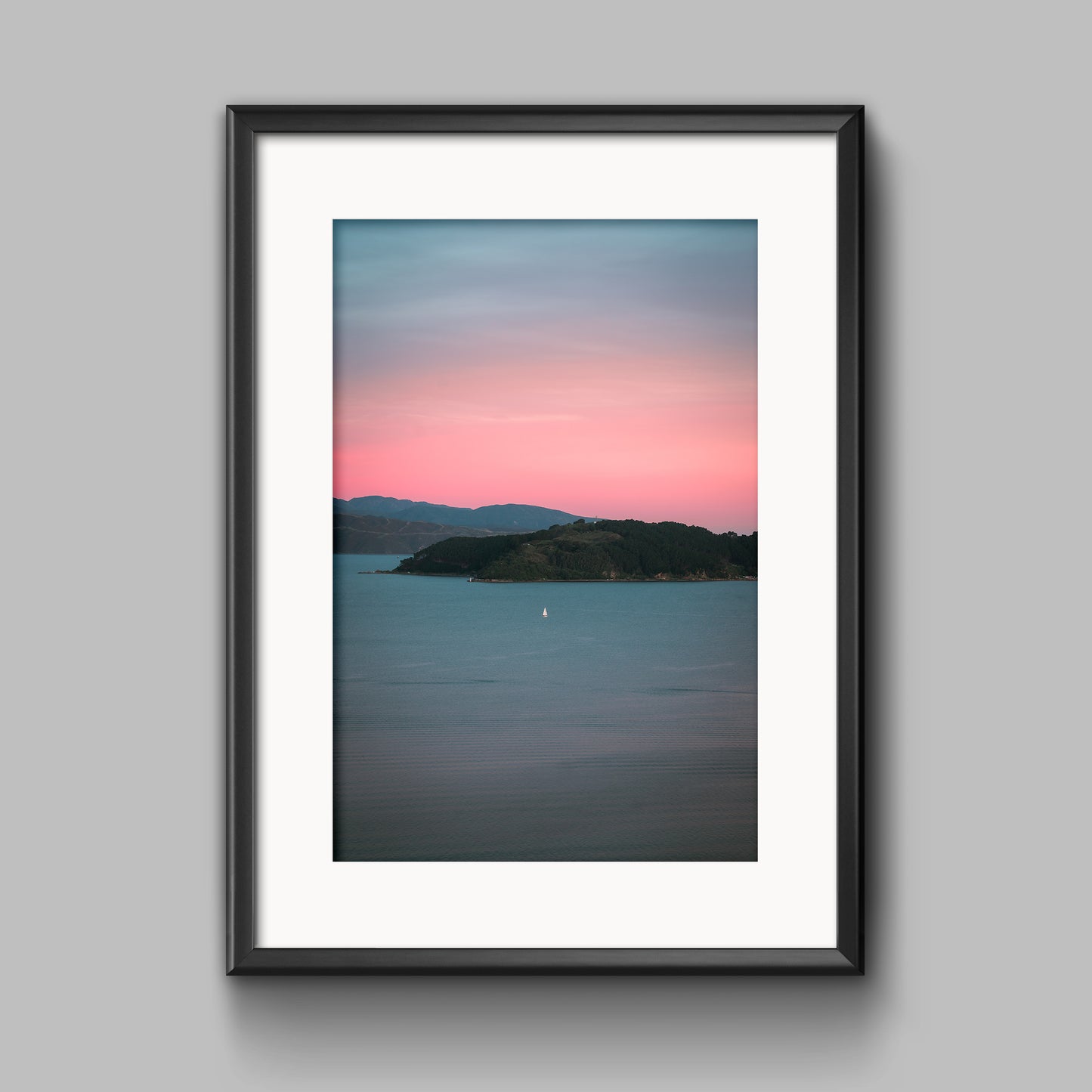 Wellington Harbour